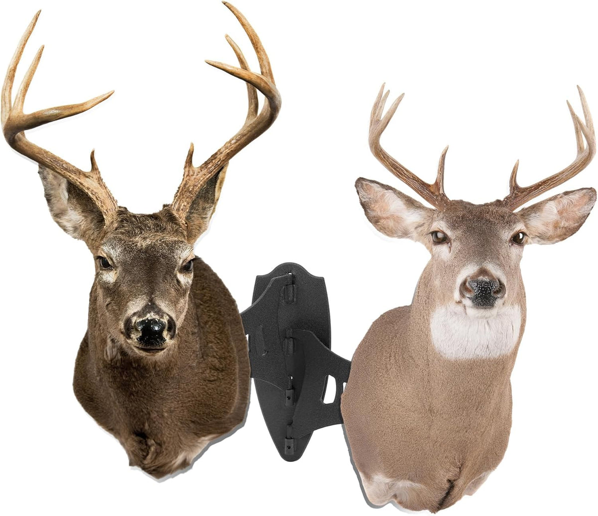 rophy Mount Bone Bracket Small/Medium Size Dual Shoulder Mount with 8-inch Swing Arm Skull Hanging Display Stand Powder Coated Steel